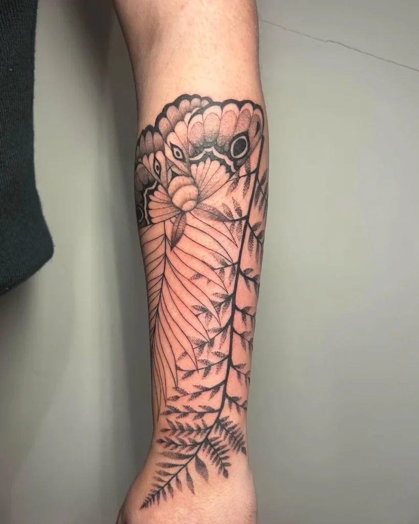 Orla
